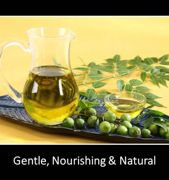 699de8410e35bc54602e70b4ab93b7925881117c54eff64e84dec 555x592