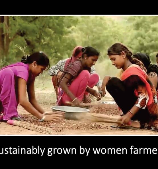 699de846ccd43b0a9cd2665937455aee0b079d17c492303522360 555x592